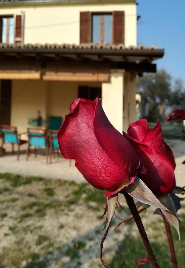 B&B Conca Del Pretore Loreto Aprutino Exterior photo