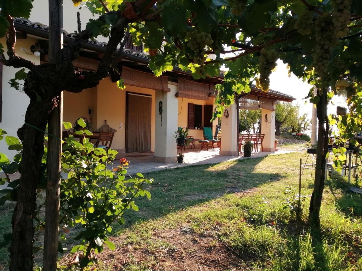 B&B Conca Del Pretore Loreto Aprutino Exterior photo