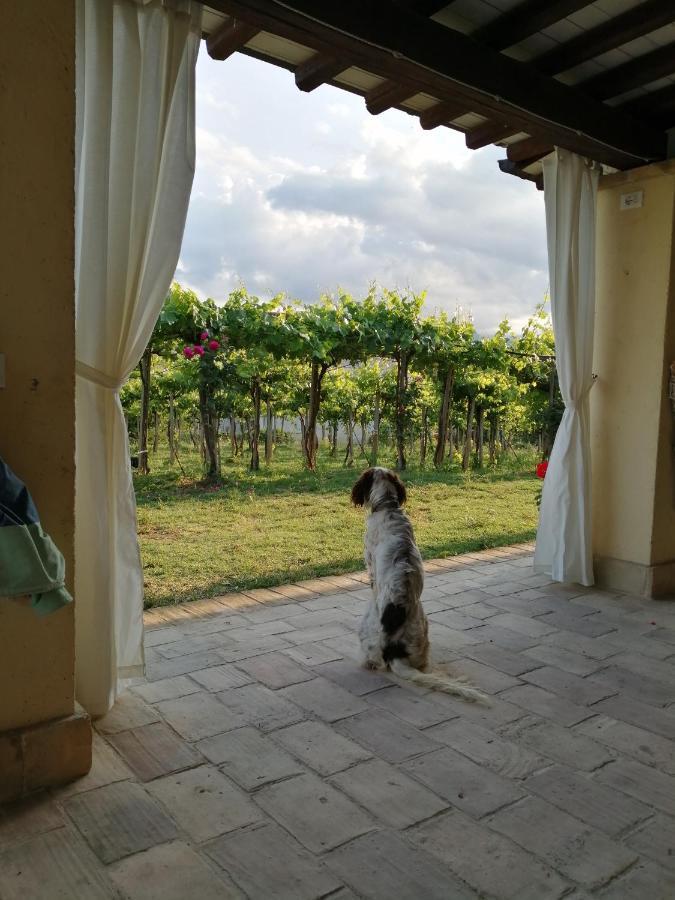 B&B Conca Del Pretore Loreto Aprutino Exterior photo