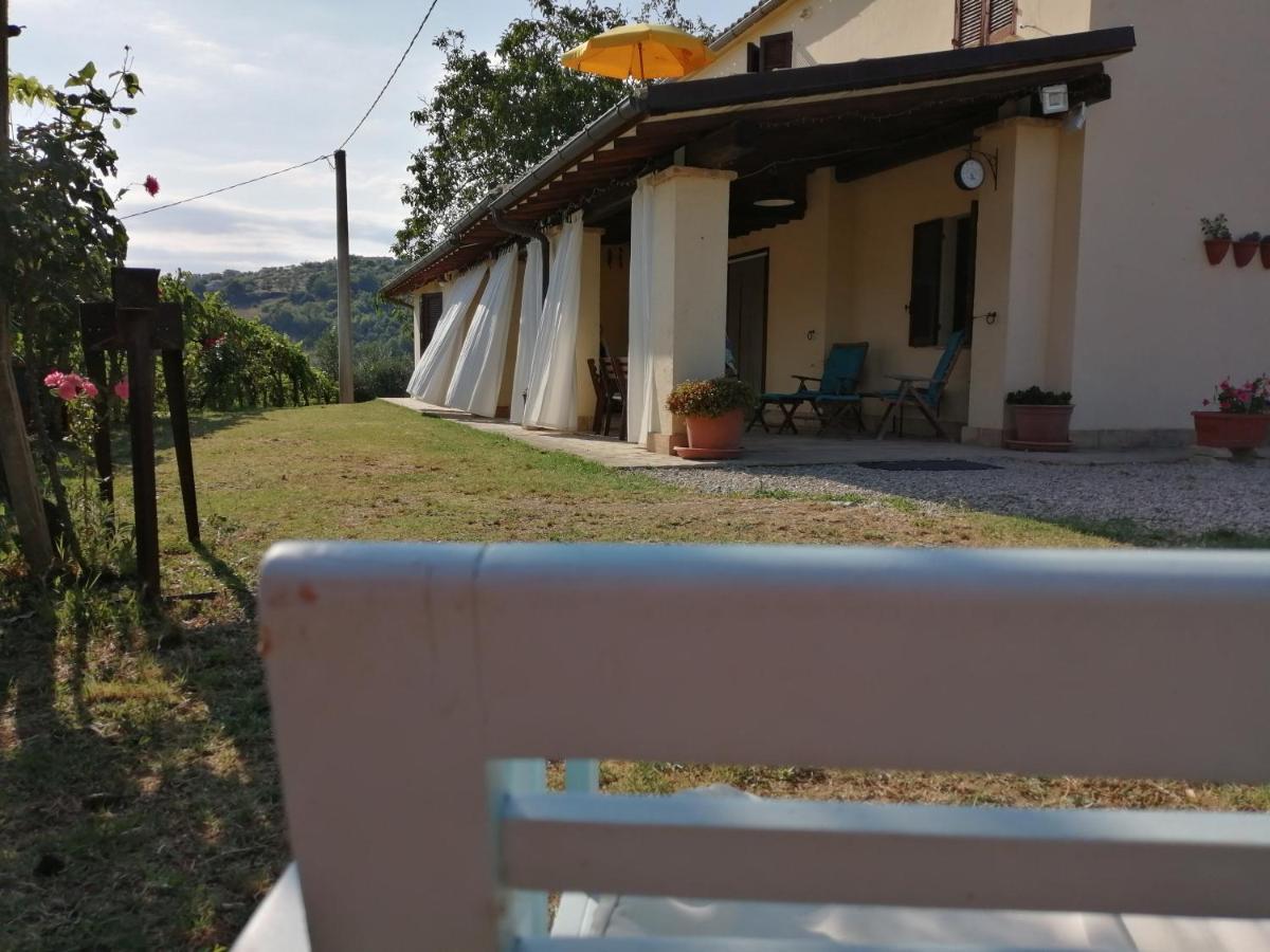 B&B Conca Del Pretore Loreto Aprutino Exterior photo